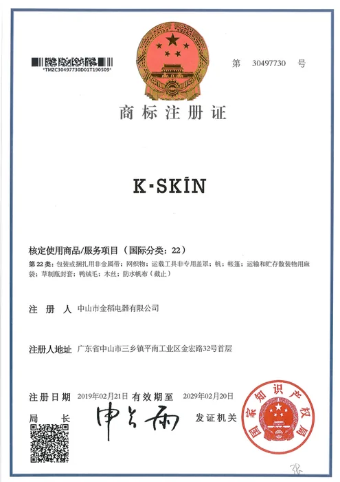 K·SKIN Trademark Registration · 31497730 document preview