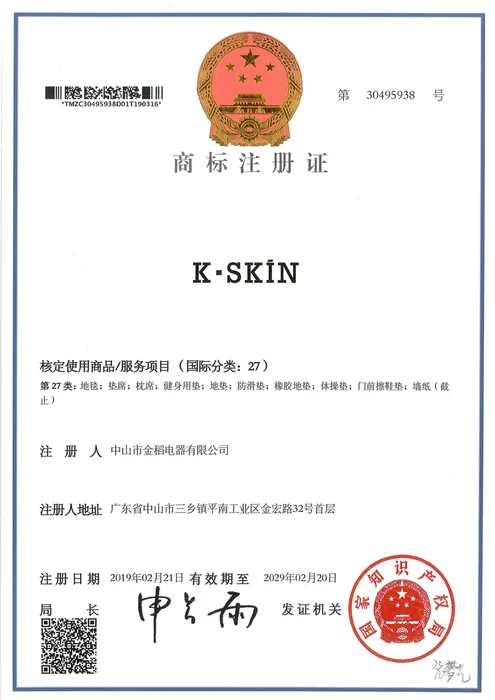 K·SKIN Trademark Registration · 30495938 document preview