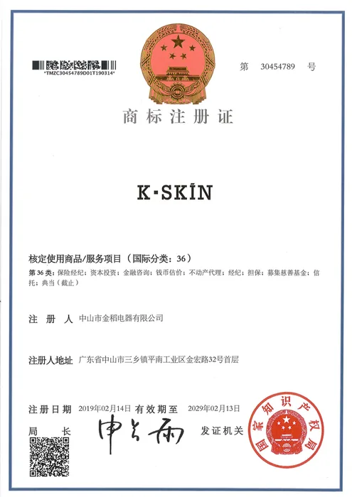 K·SKIN Trademark Registration · 30454789 document preview
