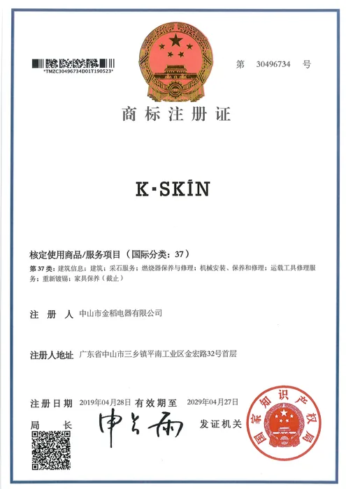K·SKIN Trademark Registration · 30496734 document preview